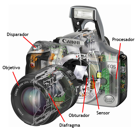 Qué es una cámara fotos | Curso de digital TheWebfoto